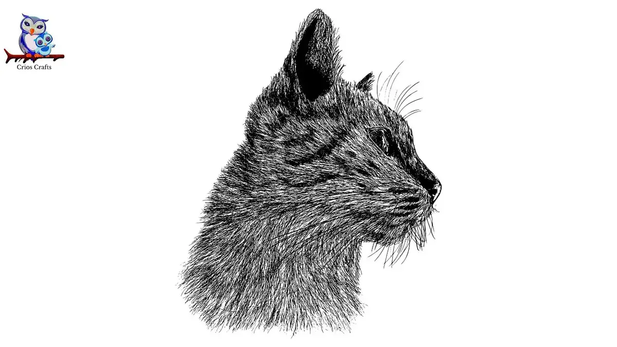 'Video thumbnail for How To Sketch a Cute Cat Pt. 1'